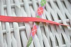 American Crafts Ribbon - JELLY BEAN#1